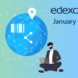 Edexcel Olevel ICT Crash Course