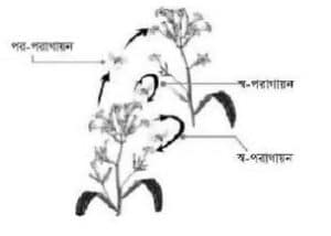Web capture 3 12 2023 213224