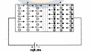 ক্লাস 8: জাংশন ডায়োড (Junction Diodes) 2 download 25