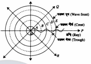 ক্লাস 3: তরঙ্গ ও তরঙ্গমুখ (Waves and Wavefronts) 1 download 3