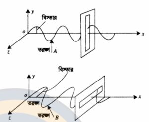 ক্লাস 7: আলোর সমবর্তন (Polarization of Light) 1 download 8