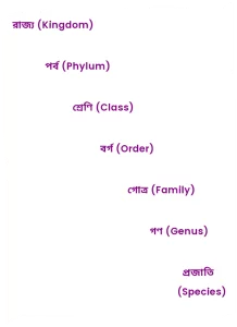main qimg 226970ca71c85de7ae6b032e82259d28